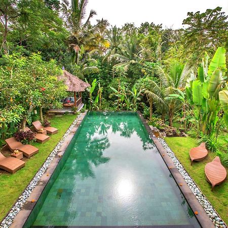 Villa Viola Ubud Eksteriør billede