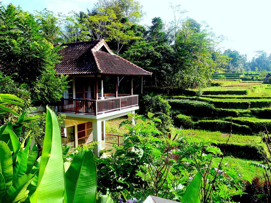 Villa Viola Ubud Eksteriør billede