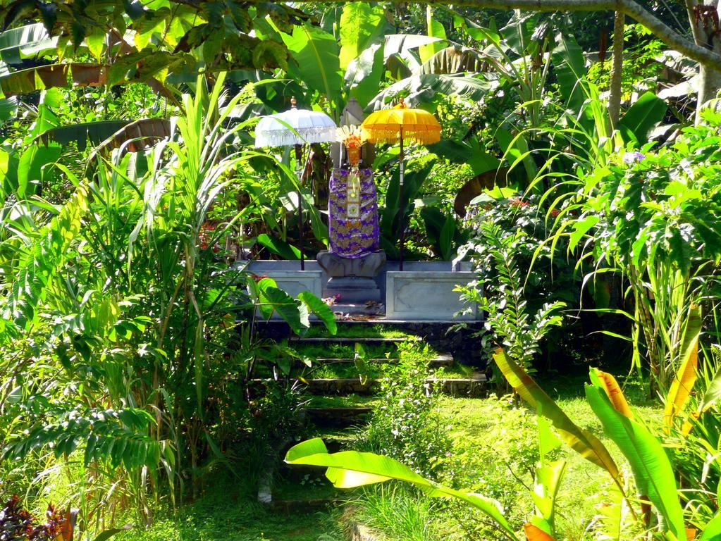 Villa Viola Ubud Eksteriør billede