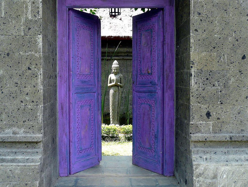 Villa Viola Ubud Eksteriør billede