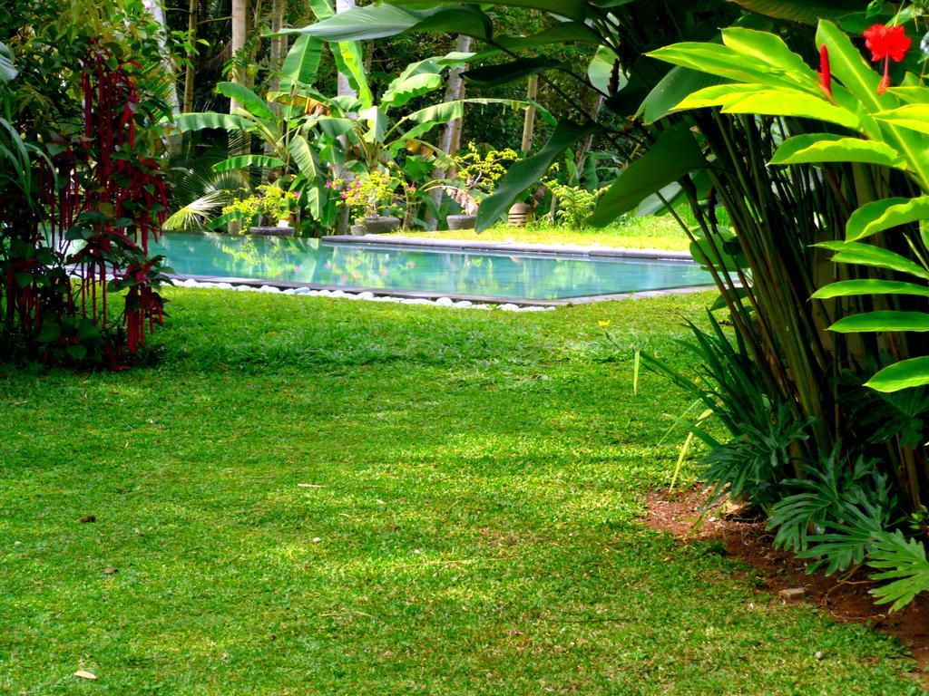 Villa Viola Ubud Eksteriør billede