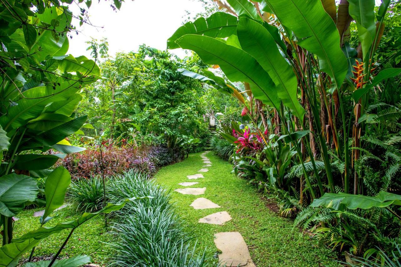 Villa Viola Ubud Eksteriør billede