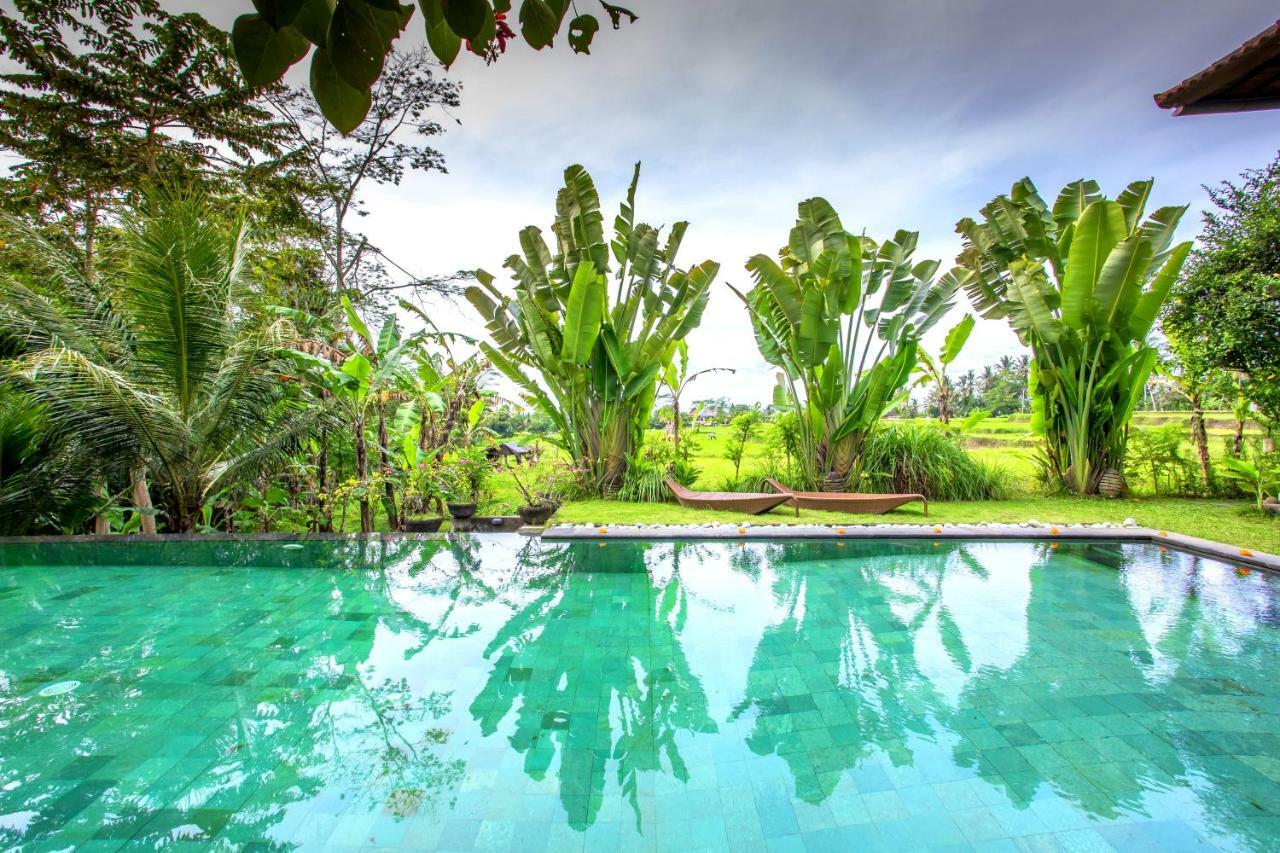 Villa Viola Ubud Eksteriør billede